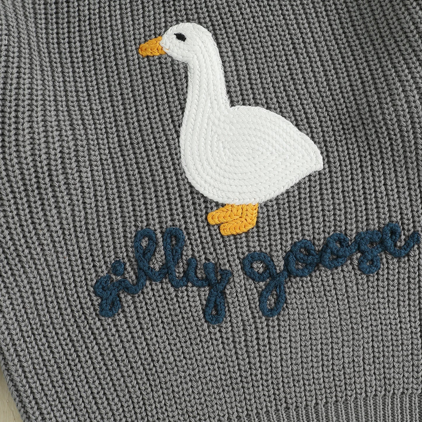 Toddler Boys ‘Silly Goose’ Embroidered Sweater – Crewneck Long Sleeve Pullover