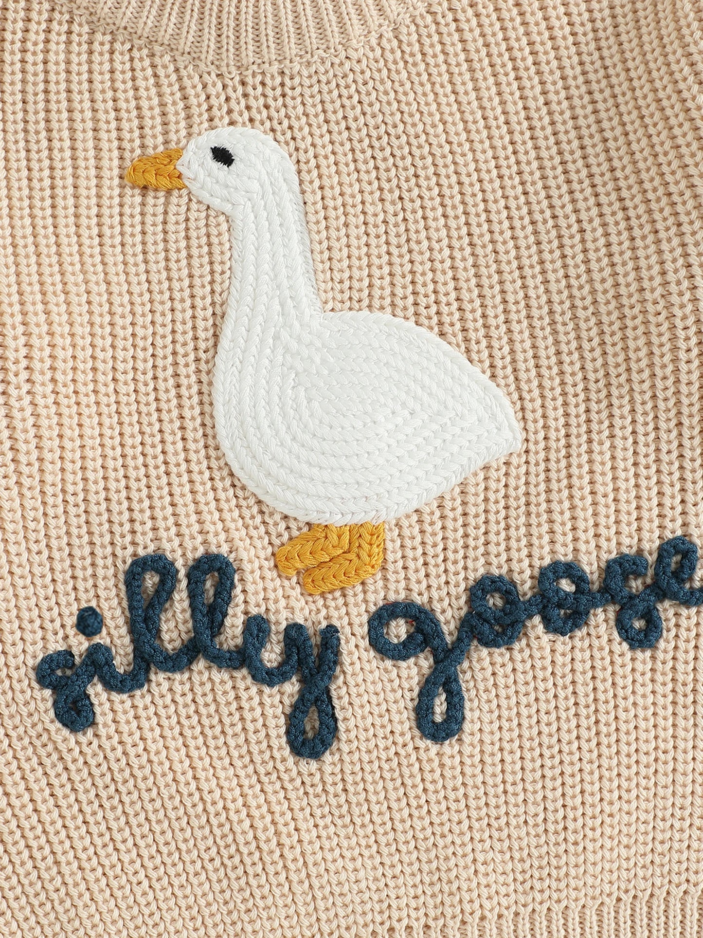 Toddler Boys ‘Silly Goose’ Embroidered Sweater – Crewneck Long Sleeve Pullover