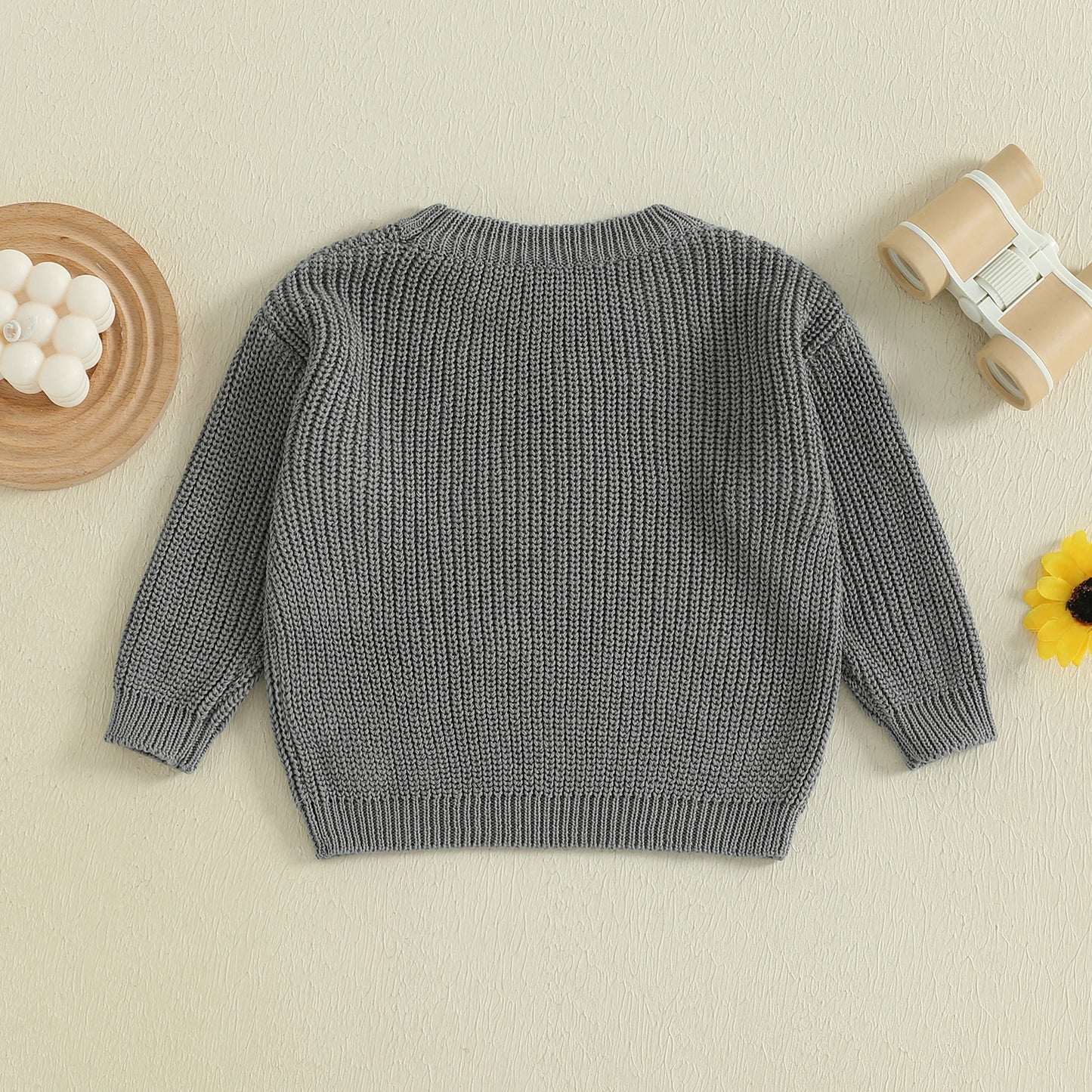 Toddler Boys ‘Silly Goose’ Embroidered Sweater – Crewneck Long Sleeve Pullover
