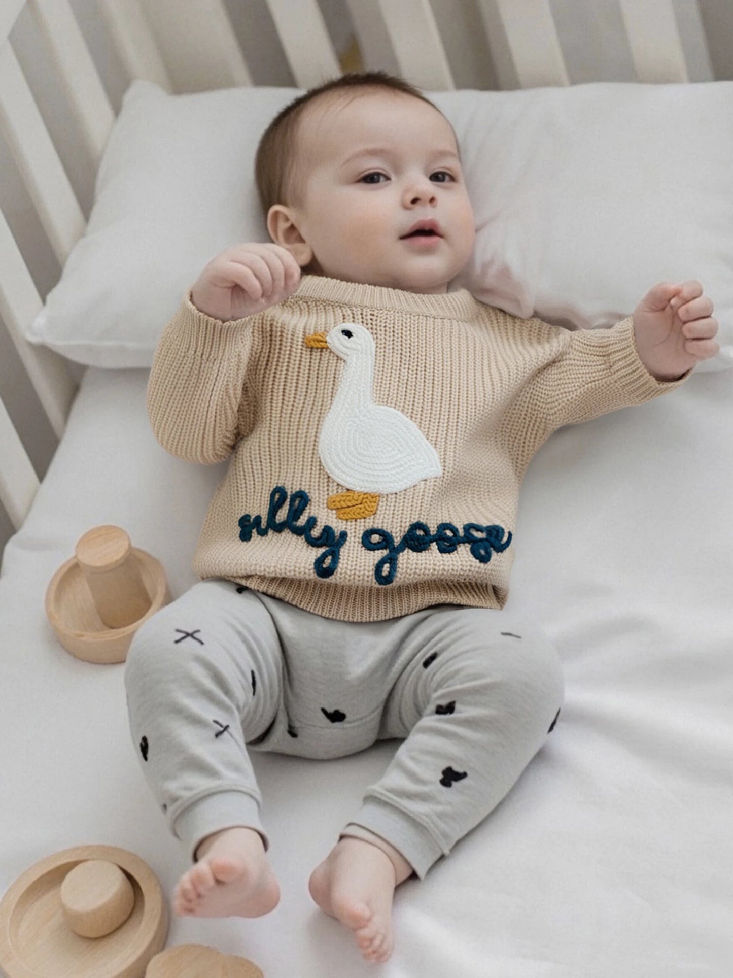 Toddler Boys ‘Silly Goose’ Embroidered Sweater – Crewneck Long Sleeve Pullover